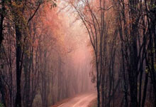 [天下足球]告别在即 费尔通亨赛季末退役.