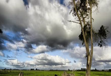 斯瓦泰克被百大球员爆冷，陷入冠军荒的名将远不止她一人！.