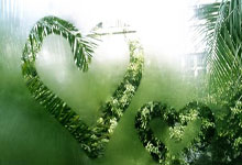 “篮球运动员退役后从事教练工作，培养新一代球员”.